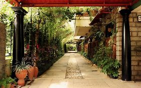 The Green Path 3*